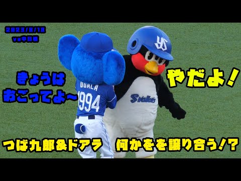 つば九郎&ドアラ　なぜか何かをを譲り合う！？　2023/8/18 vs中日