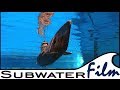 RC Live | U-Boote & SUBMARINES - Modellbau LIVE