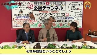 【スプリンターズS2016予想】ビッグアーサーの真価を「血統・戦績・走り」で明らかにせよ! (前編)