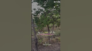 ارح قلبك وروحك وسمعك بآيات من الذكر الحكيم #اكسبلور #قرأن كريم #راحة نفسية