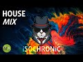 Peak focus for complex tasks with isochronic tones  spy cat mix