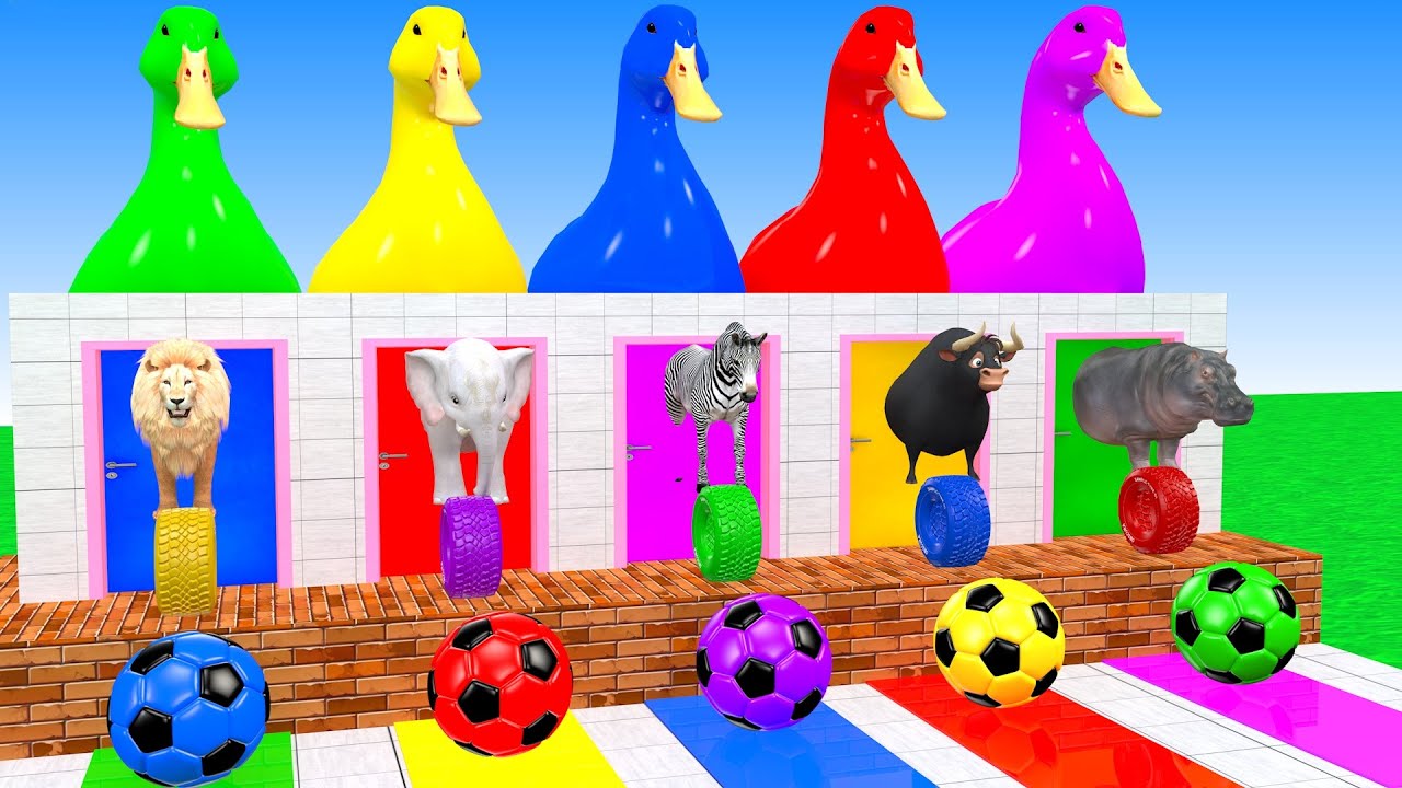 Long Slide Game With Elephant Lion Zebra Bull Hipopotamus 3d Animal Game Funny 3d Animals