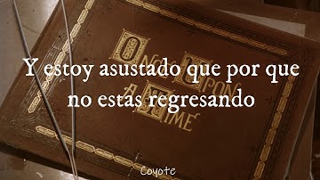 Damn Seagulls - Once Upon a Time (Sub. Español)