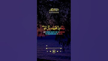 الذين امنوا و تطمئن قلوبهم بذكر الله الا بذكر الله تطمئن القلوب  #الله #قران #قرآن #تلاوة #quran