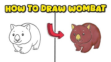How to Draw a Wombat – Follow Along Easy and Relaxing Animal Drawing
