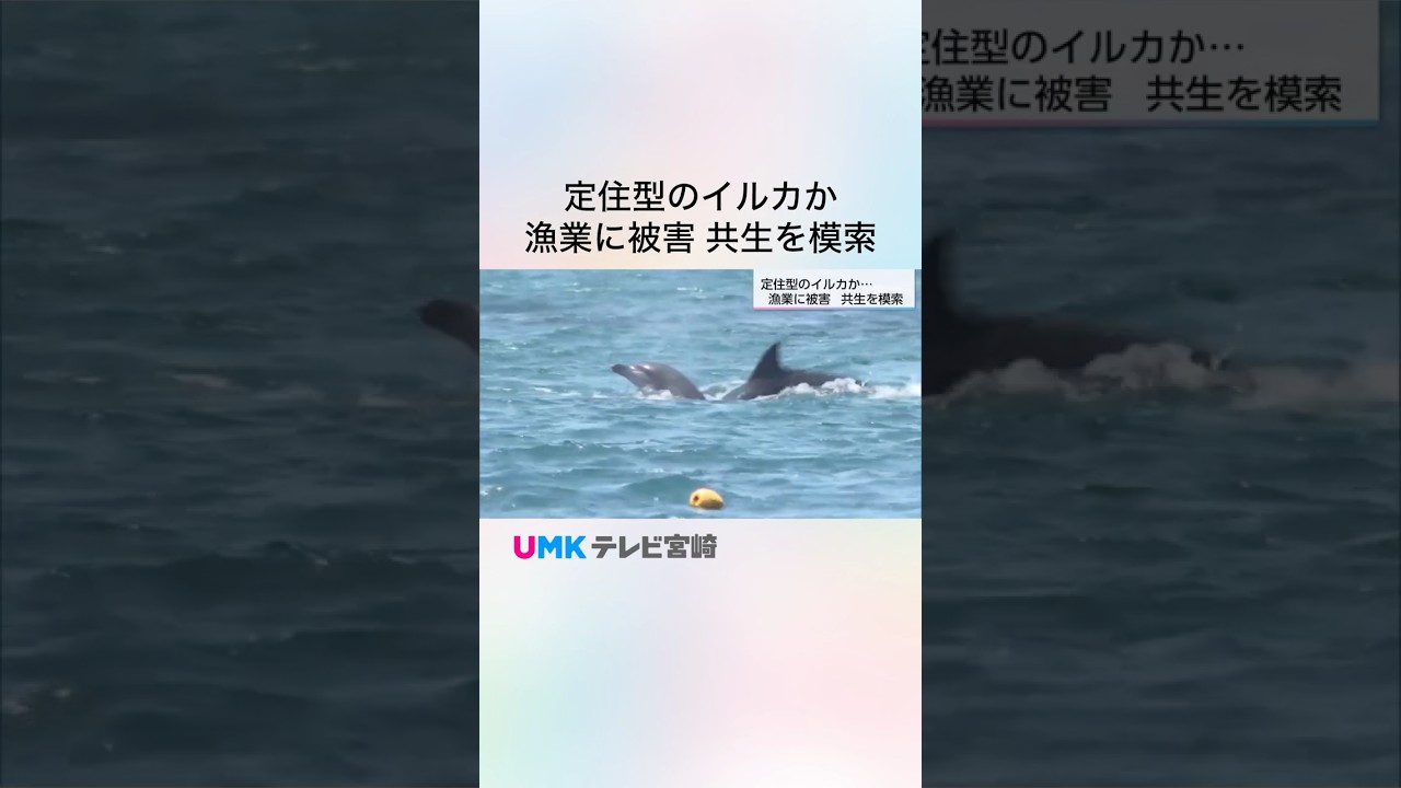 Resident Dolphins Causing Fishery Damage: Seeking Coexistence