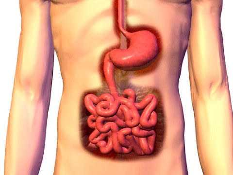 natural colon cleansing methods that really works for detox your how colon cleansing works