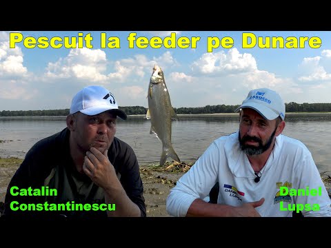 Pescuit la feeder pe Dunare