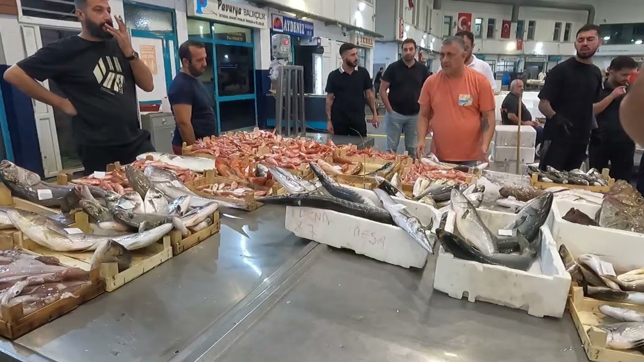 İZMİR BUCA BALIK HALİ (Taze Balık Geldi) Kırmızıcılar Gelsin Mezat