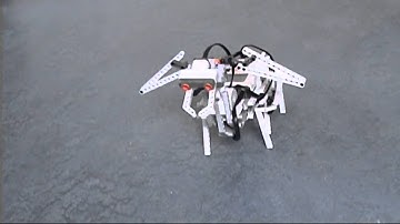 SELU Computer Science Project - Anti-Human Dog