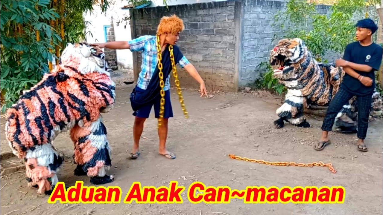 ADUAN ANAK CAN MACANAN SINGO RAUNG || komedi madura