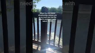 When One Month Situationship Messes You Video By Emily.scholten