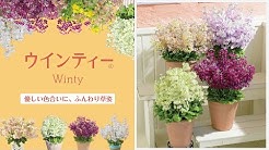 サントリー公式チャンネル Suntory Youtube サントリー公式チャンネル Suntory Youtube