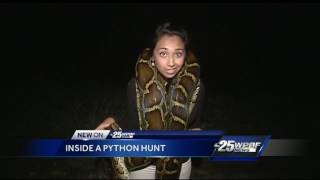 Inside a python hunt