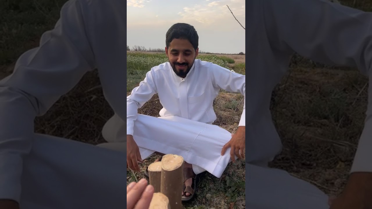 تطعيم السدر في اخر شهر ٤ ميلادي