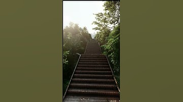 Forest Cabins ( Lumion visualization & render ))