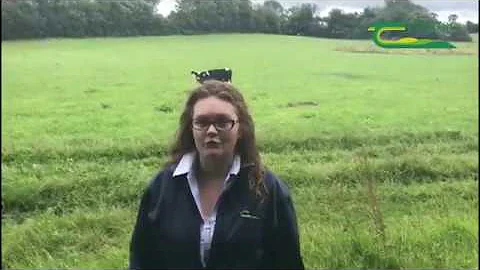 Transitioning Dairy Calves to a Grass Based Diet