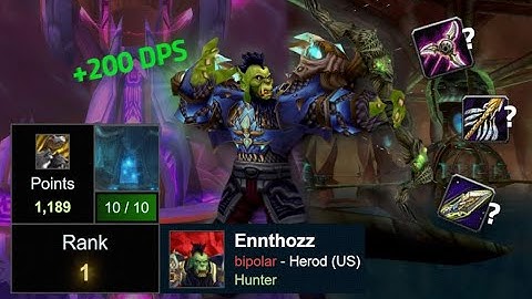 TBC Hunter Rotation Guide - Increase DPS and Keep It Simple (With rank 1 hunter Enthozz)