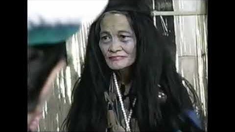 Niam Tais Poj Dab Noj Plab Qaib 2