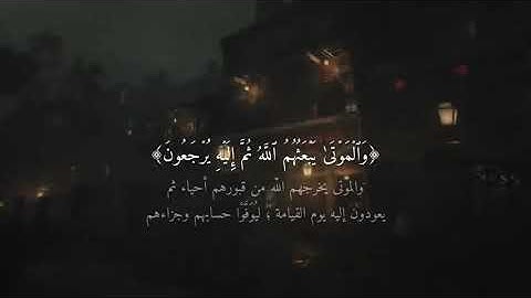 تلاوة خاشعة جدا 🍃الشيخ ناصر القطامي 🍃حالات واتس اب 🍃