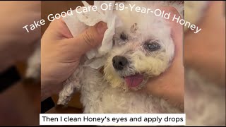 💖🐶💖So touching~ Take Good Care Of 19-Year-Old Honey👍👍 by Qiu Share - cute & funny animals 401 views 3 months ago 4 minutes, 36 seconds
