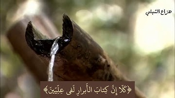 القارئ هزاع الشبلي || ماتيسر من سورة المطففين