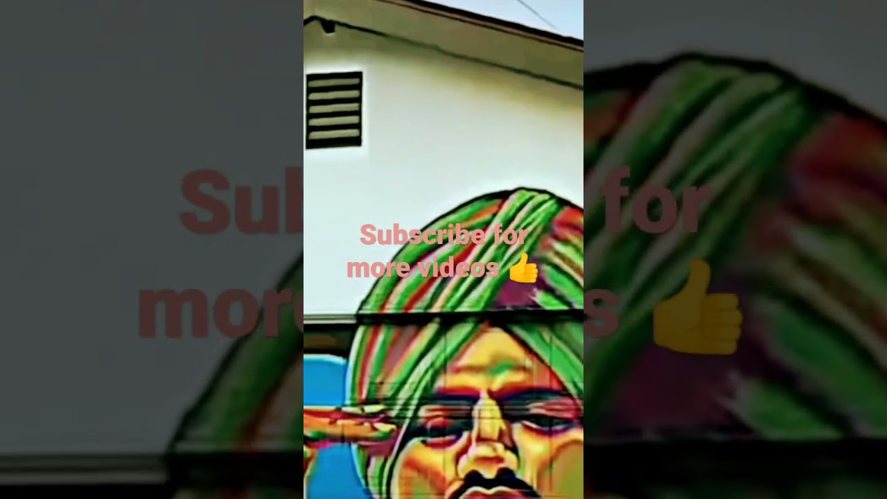 moose di fan following 