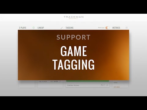 Support: Game tagging