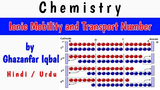 What is Ionic Mobility and Transport Number | Chemistry | Hindi / Urdu