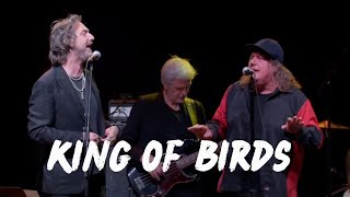 REM 40th Anniversary - King of Birds - Kevn Kinney and Rich Robinson