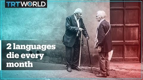 2 of the world’s 7,000 languages die every month – UNESCO