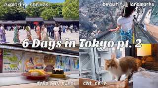 Yokohama, Daikanyamacho, Handmade Sushi, Cat Cafe, Shibuya Sky & Crossing 🗼 ⛩️ | Tokyo Vlog pt. 2 by Aada & Heikki 17 views 8 hours ago 15 minutes