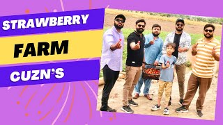 Visit a Strawberry 🍓 Farm😍👬