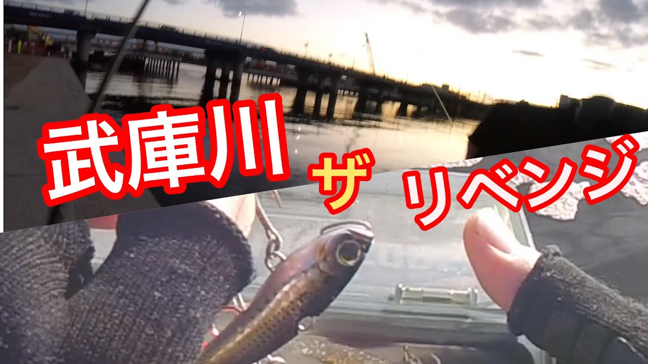 シーバス釣り どうしても武庫川で釣りたい の巻 Youtube