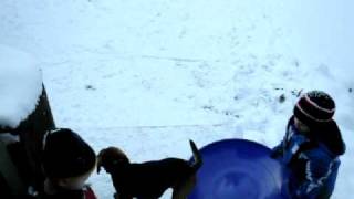 Boys Sledding.AVI