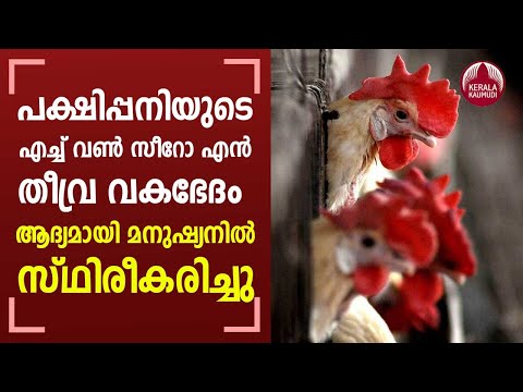 China reports first human case of H10N3 bird flu | KeralaKaumudi