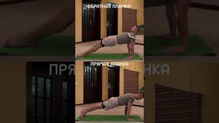 обратная и прямая планка #yoga #упражнения #спорт #планка #shorts