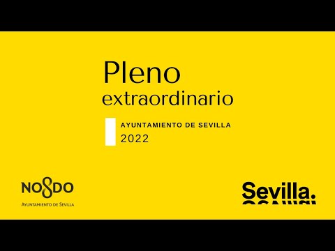 Pleno extraordinario del Ayuntamiento de Sevilla (14/07/2022)