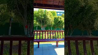 #spring #china #chineseuniversities