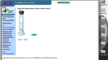 BIO 150 Photosynthesis Virtual Lab