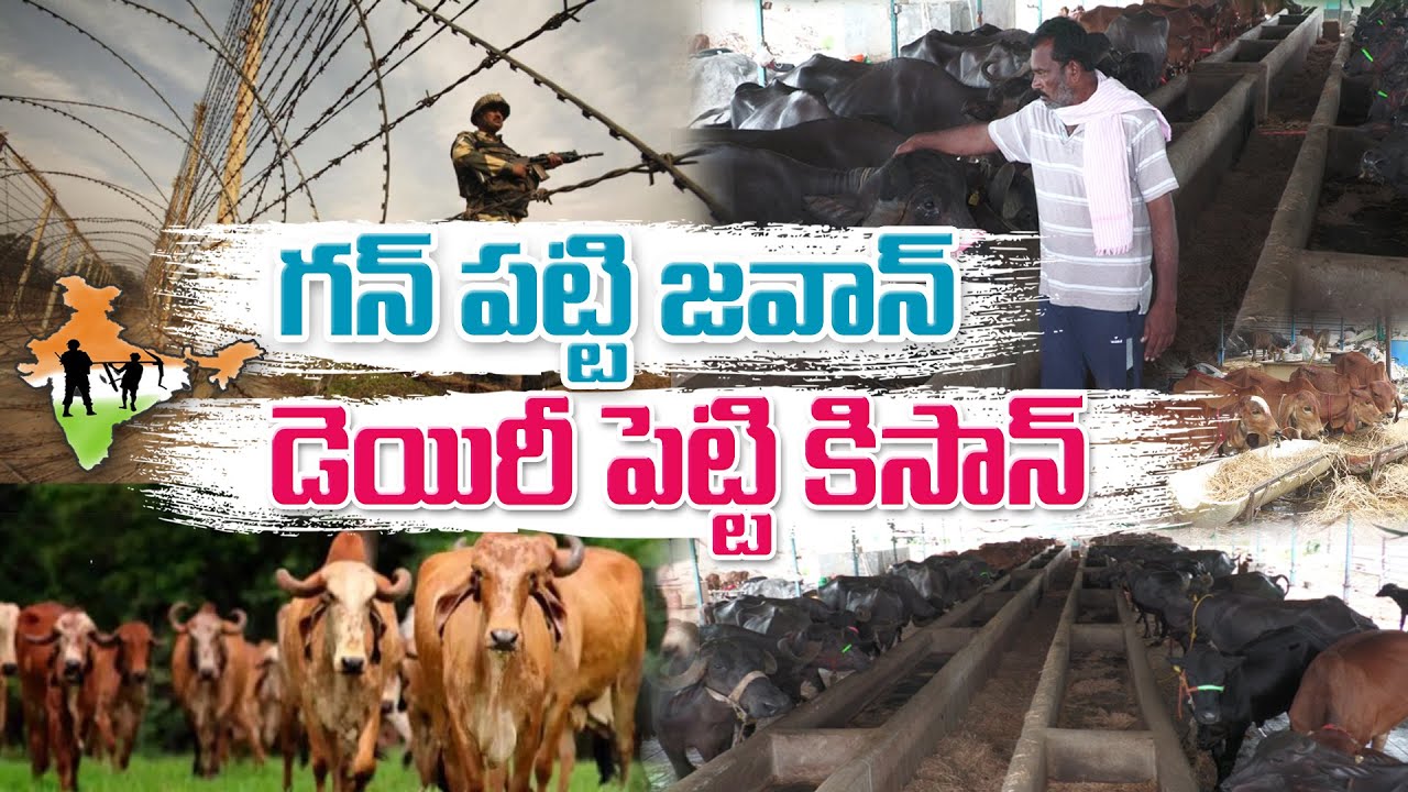 Ex Army Farmer ఆవులు, గేదెల డెయిరీ | SeshiReddy