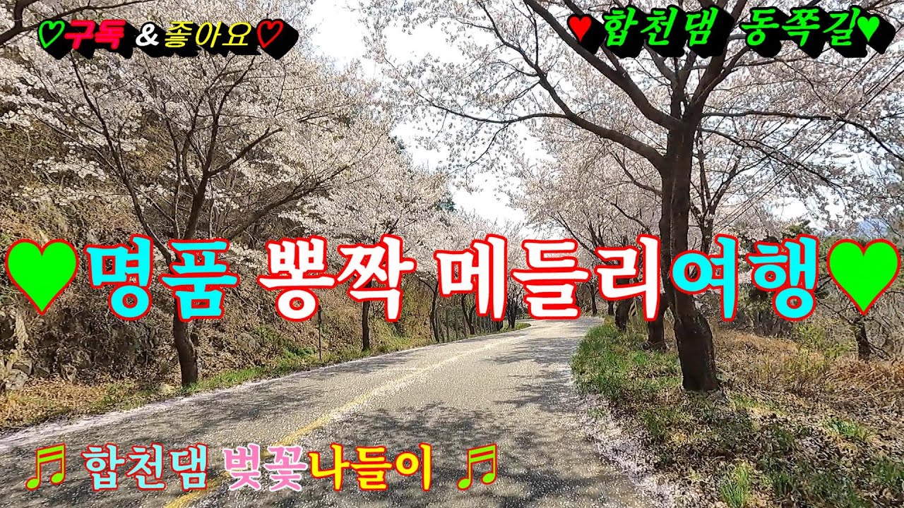 #합천댐동쪽길 #벚꽃비가내려요 #명품뽕짝메들리 #디스코메들리 #관광버스메들리 #고속도로메들리 #콜라텍메들리 #갈매기디스코 #신바람메들리 #이창화tv