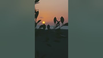 سورة الضحى - أحمد الحمادي
