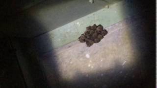 IMG 4869