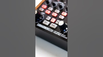 Moog Subharmonicon – Beefy Analog Sequences #shorts