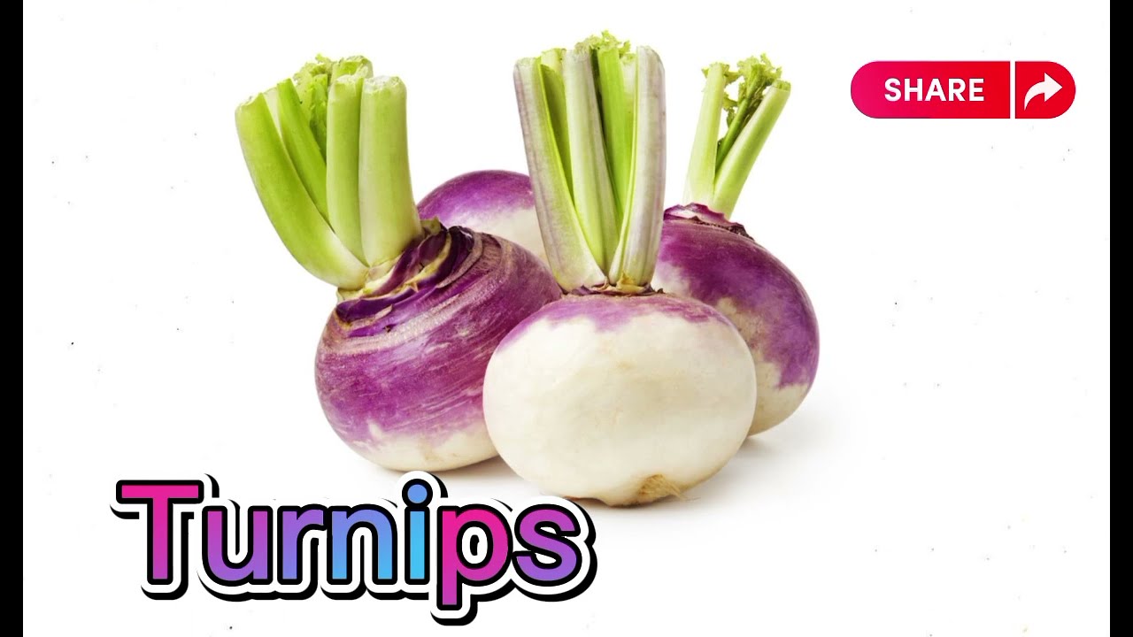 Learn Vegetables Name in English/Healthy Vegetables/ Vegetables Name