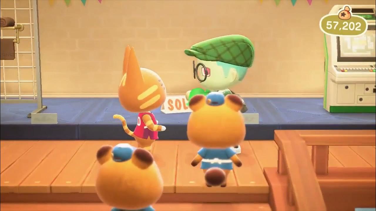 giving-katt-a-gift-acnh-animalcrossing-youtube