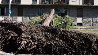 L'Italie frappée par la tempête Ciaran, trois morts en Toscane