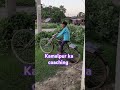 Kamalpur ka coaching #yt short # trending video # short