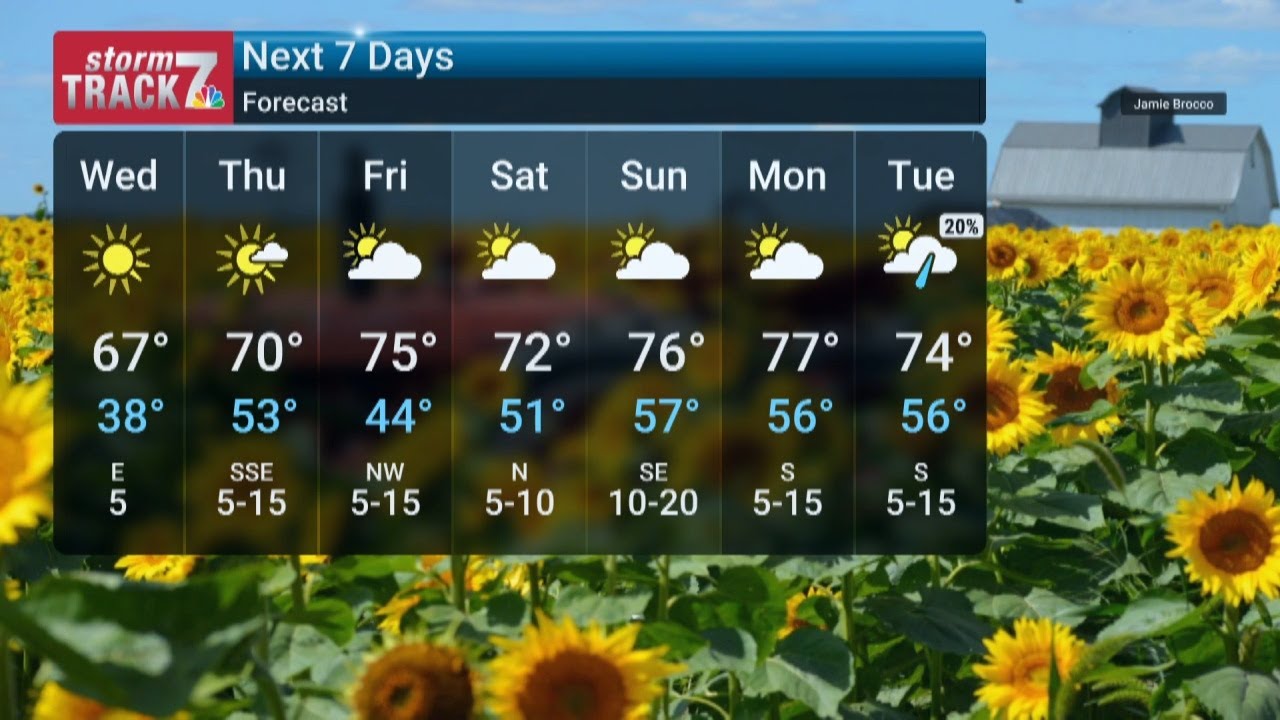 Wednesday Noon Weather 10/8/2025 - YouTube